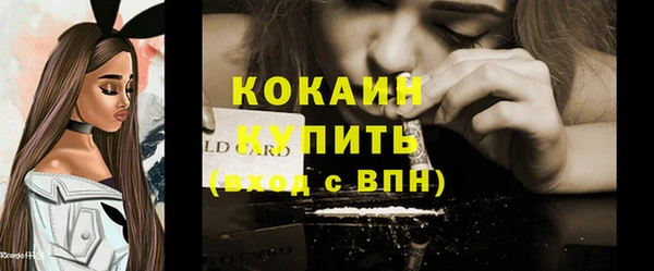 дмт Гусев