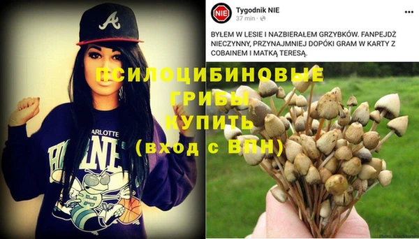 дмт Гусев