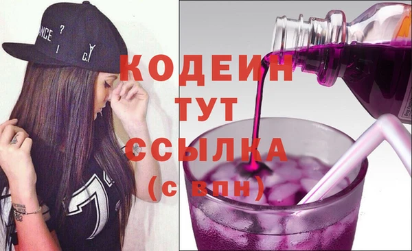 дмт Гусев
