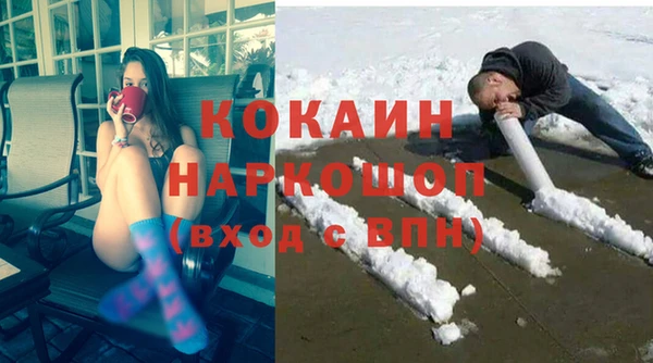 дмт Гусев