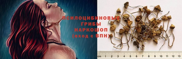 дмт Гусев