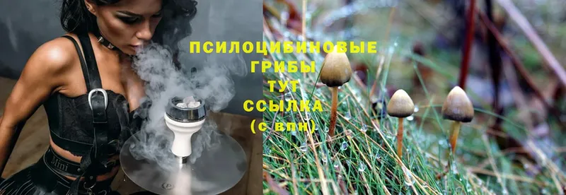 Псилоцибиновые грибы MAGIC MUSHROOMS  ОМГ ОМГ ONION  Ермолино  купить закладку 