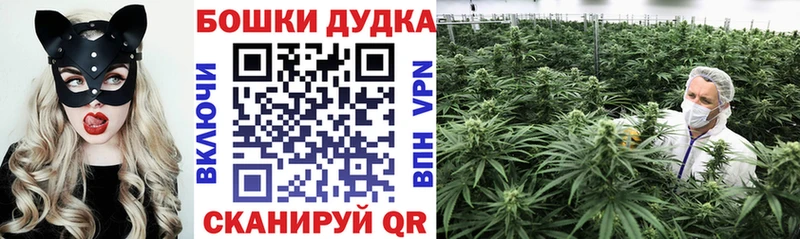 где найти наркотики  Ермолино  Бошки Шишки SATIVA & INDICA 